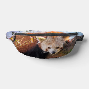 Lazy kleine rote Panda Bauchtasche