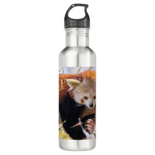 Lazy kleine rote Panda Edelstahlflasche