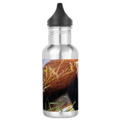 Lazy kleine rote Panda Edelstahlflasche (Links)