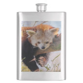 Lazy kleine rote Panda Flachmann (Vorderseite)