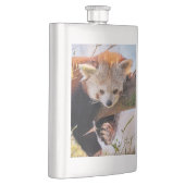 Lazy kleine rote Panda Flachmann (Rechts)