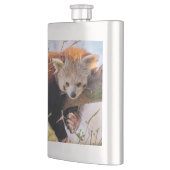 Lazy kleine rote Panda Flachmann (Links)