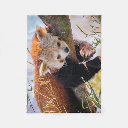 Lazy kleine rote Panda Fleecedecke (Vorderseite)