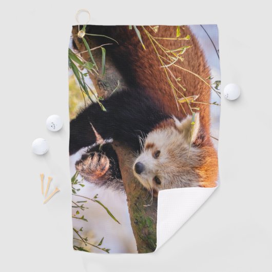 Lazy kleine rote Panda Golfhandtuch (Insitu)