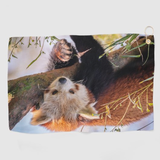Lazy kleine rote Panda Golfhandtuch (Horizontal)