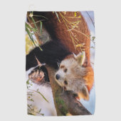 Lazy kleine rote Panda Golfhandtuch (Vorderseite)