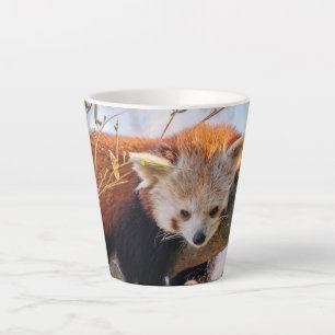 Lazy kleine rote Panda Milchtasse
