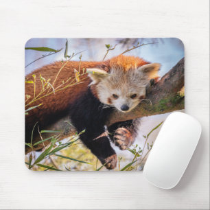 Lazy kleine rote Panda Mousepad