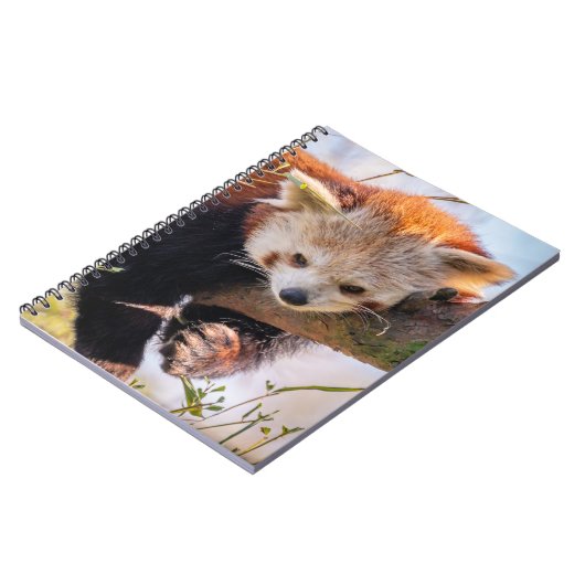 Lazy kleine rote Panda Notizblock (Linke Seite)