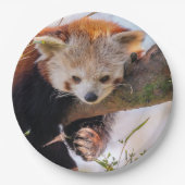 Lazy kleine rote Panda Pappteller (Vorderseite)