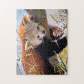 Lazy kleine rote Panda Puzzle (Vertikal)