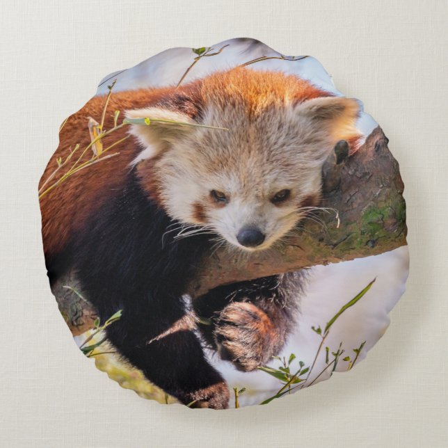 Lazy kleine rote Panda Rundes Kissen (Rückseite)