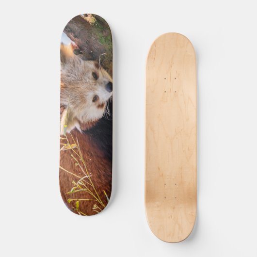 Lazy kleine rote Panda Skateboard (Vorderseite)