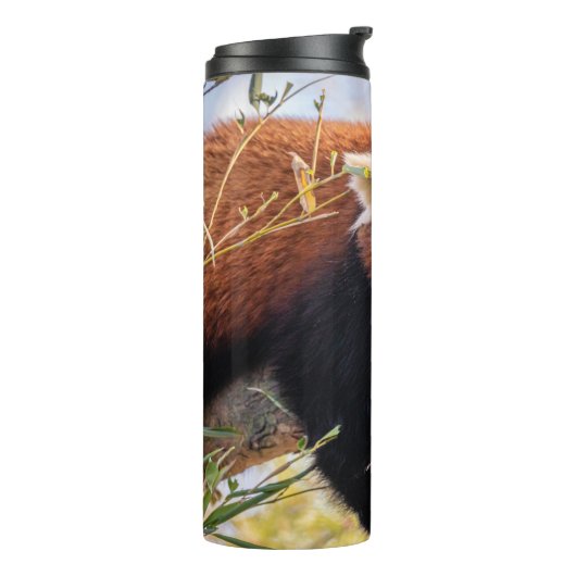 Lazy kleine rote Panda Thermosbecher (Nach links gedreht)