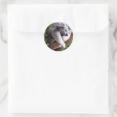Lazy Koala Sticker (Tasche)