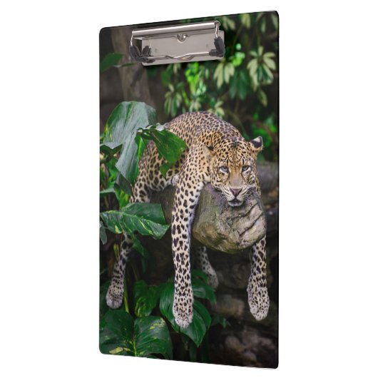 Lazy Leopard Klemmbrett (Links)