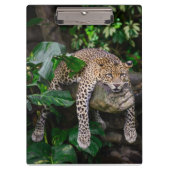 Lazy Leopard Klemmbrett (Vorderseite)