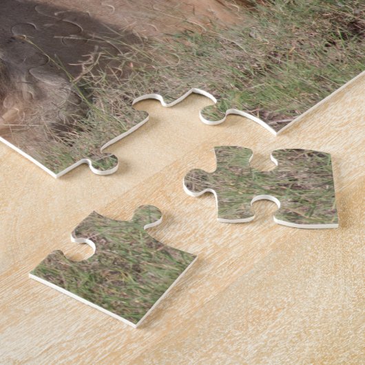 Lazy Lion Brothers on Savannah Puzzle (Seite)