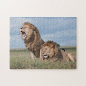 Lazy Lion Brothers on Savannah Puzzle (Horizontal)