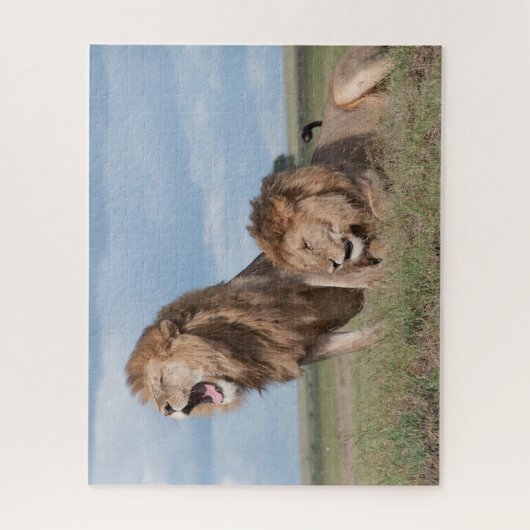 Lazy Lion Brothers on Savannah Puzzle (Vertikal)