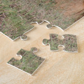 Lazy Lion Brothers on Savannah Puzzle (Seite)