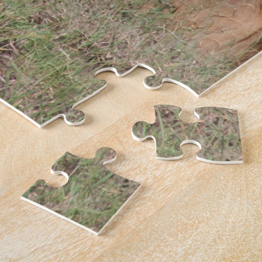 Lazy Lion Brothers on Savannah Puzzle (Seite)