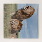 Lazy Lion Brothers on Savannah Puzzle (Horizontal)