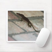Lazy Lizard Mousepad (Mit Mouse)