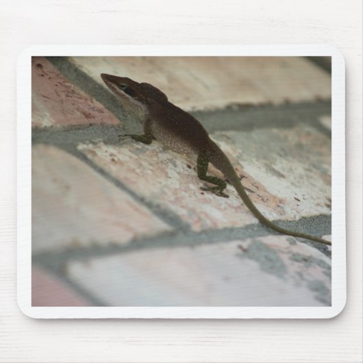 Lazy Lizard Mousepad (Vorne)
