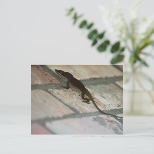 Lazy Lizard Postkarte (Stehend Vorderseite)
