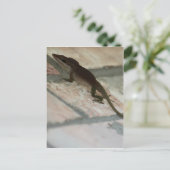 Lazy Lizard Postkarte (Stehend Vorderseite)