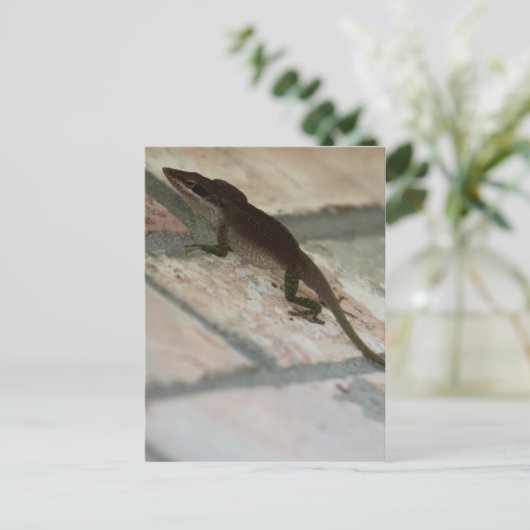 Lazy Lizard Postkarte (Stehend Vorderseite)