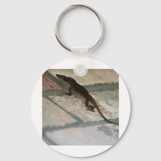 Lazy Lizard Schlüsselanhänger (Vorderseite)