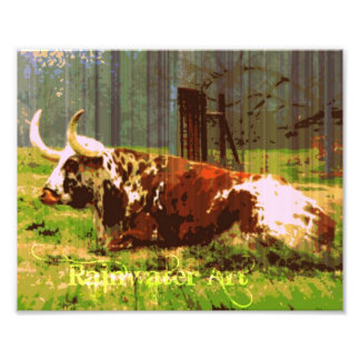 Lazy Longhorn Fotodruck