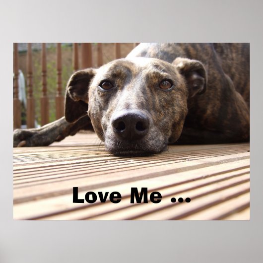 Lazy Lurcher Poster (Vorne)