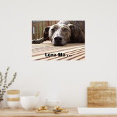 Lazy Lurcher Poster (Küche)