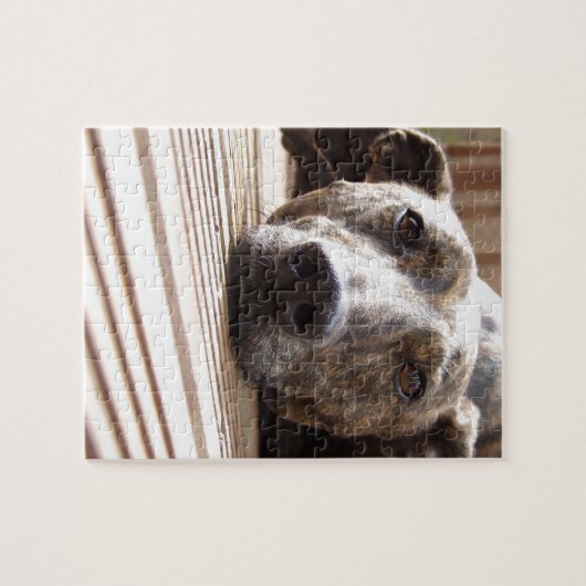 Lazy Lurcher Puzzle (Horizontal)