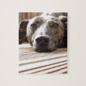 Lazy Lurcher Puzzle (Vertikal)