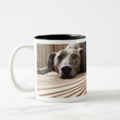 Lazy Lurcher Zweifarbige Tasse (Links)