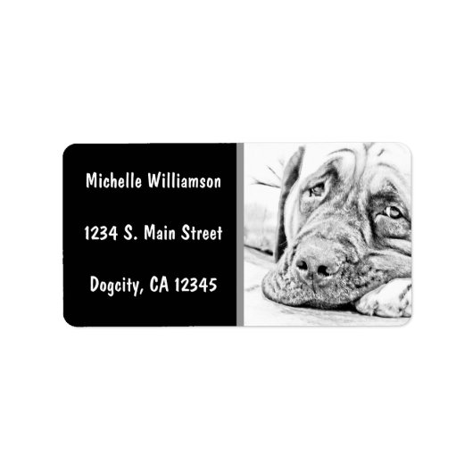 Lazy Mastiff Adressaufkleber (Vorne)