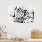 Lazy Mastiff Poster (Küche)