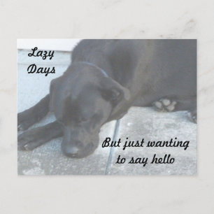 Lazy Mitternacht Will nur zu nicken Postkarte