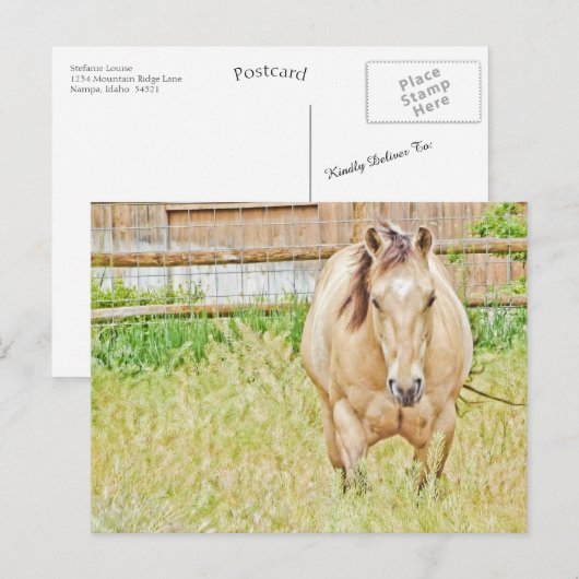 Lazy Morning Postkarte (Vorne/Hinten)