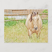 Lazy Morning Postkarte (Vorderseite)