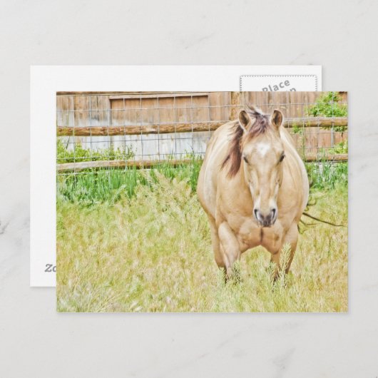 Lazy Morning Postkarte (Vorne/Hinten)