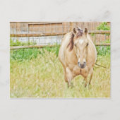 Lazy Morning Postkarte (Vorderseite)