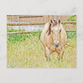 Lazy Morning Postkarte