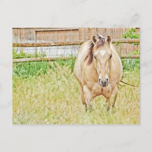 Lazy Morning Postkarte (Vorderseite)