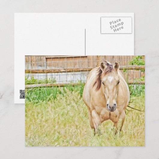 Lazy Morning Postkarte (Vorne/Hinten)