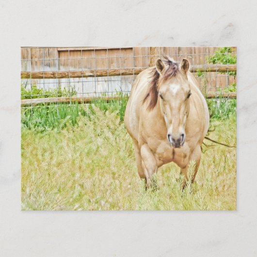 Lazy Morning Postkarte (Vorderseite)